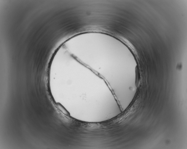 X0000099401144200806051202