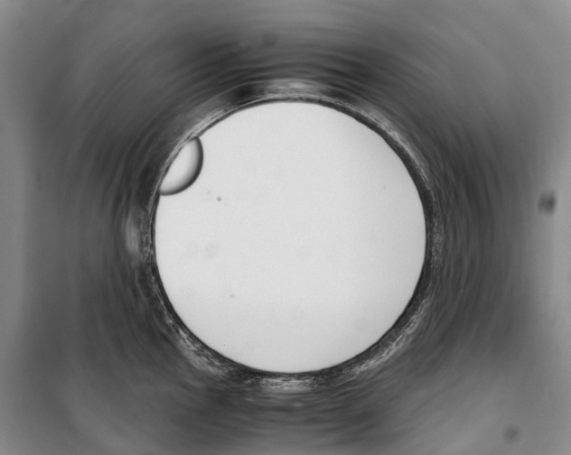 X0000099401145200806051202