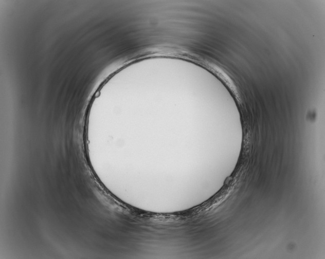 X0000099401146200806051202
