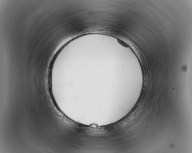 X0000099401147200806051202