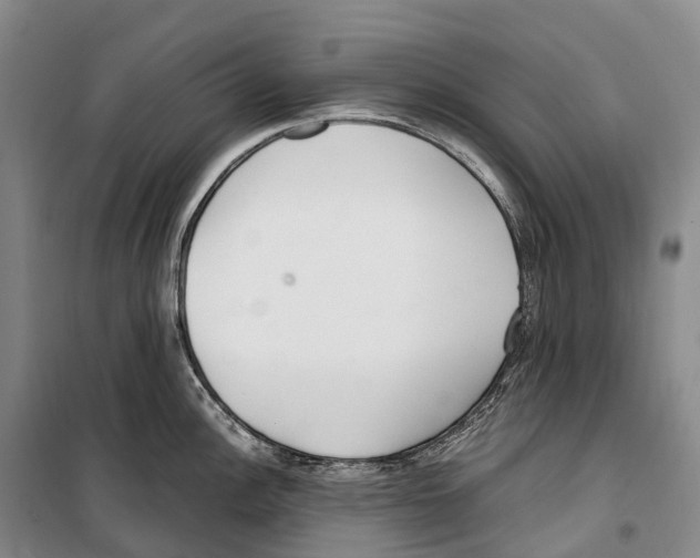 X0000099401148200806051202