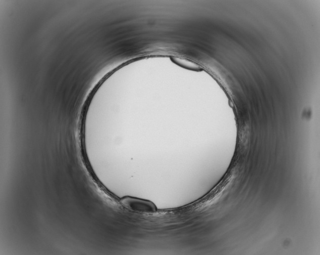 X0000099401149200806051202