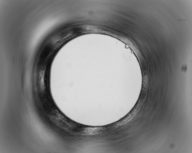 X0000099401150200806051202