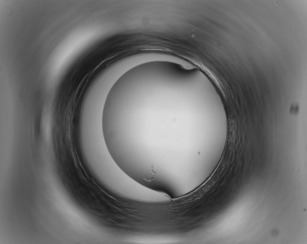 X0000099401151200806051202