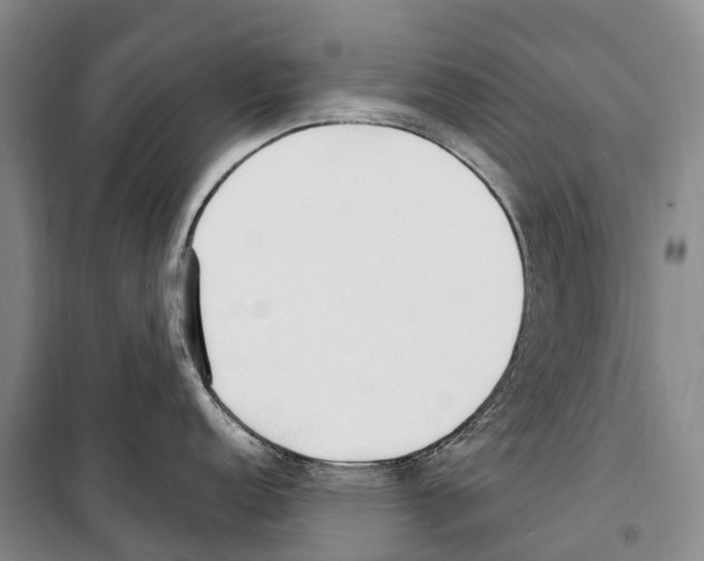 X0000099401152200806051202