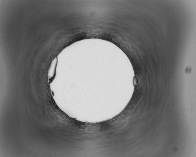 X0000099401153200806051201