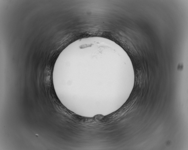 X0000099401154200806051201