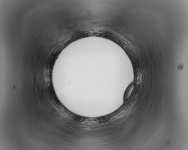 X0000099401156200806051201