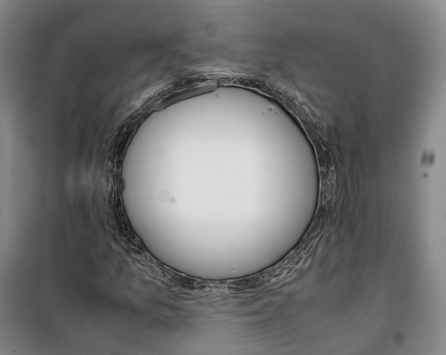 X0000099401157200806051201