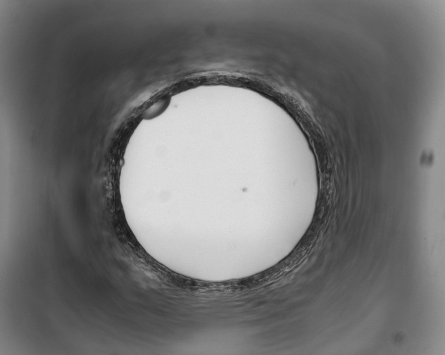 X0000099401159200806051201