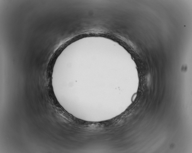 X0000099401160200806051201