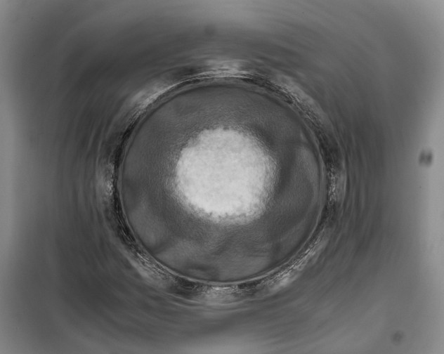 X0000099401161200806051201