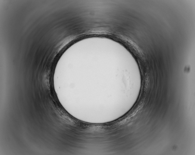 X0000099401162200806051201