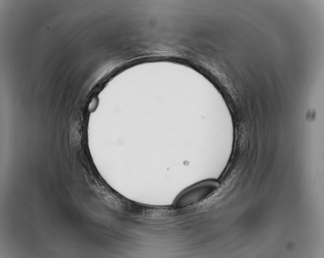 X0000099401163200806051201