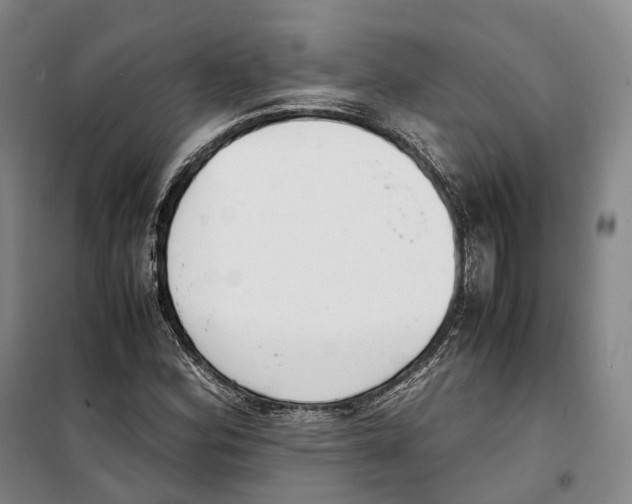 X0000099401164200806051201