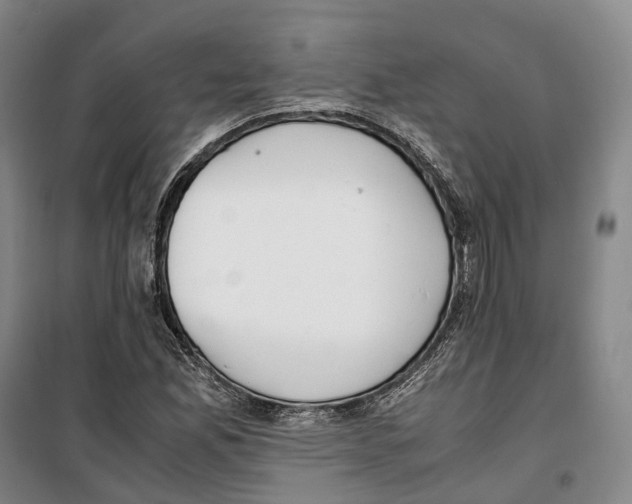 X0000099401165200806051201