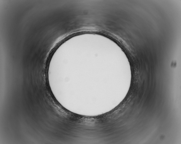 X0000099401168200806051201