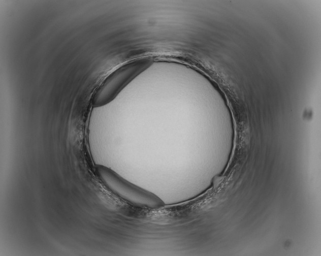 X0000099401169200806051201