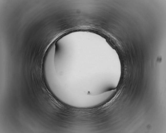 X0000099401170200806051201