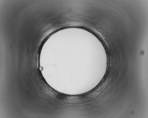 X0000099401171200806051201