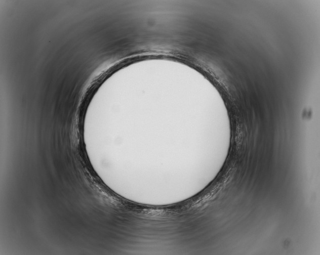 X0000099401172200806051201