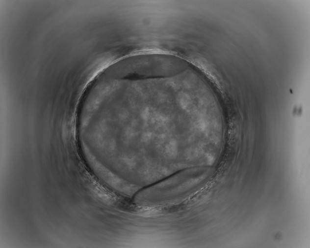 X0000099401173200806051201