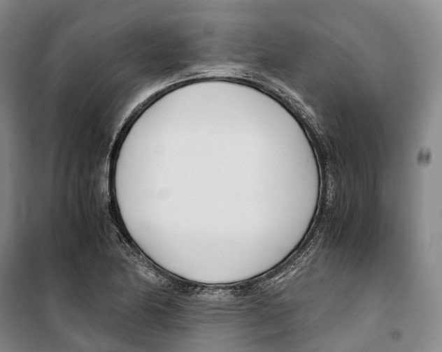 X0000099401174200806051201