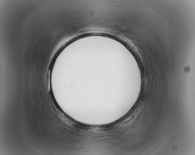 X0000099401175200806051201