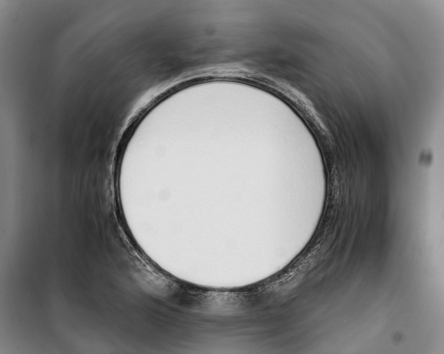 X0000099401176200806051201