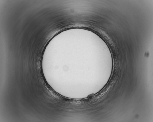 X0000099401177200806051201