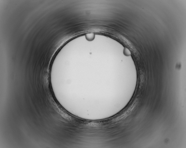 X0000099401178200806051201