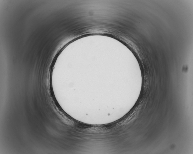 X0000099401179200806051201