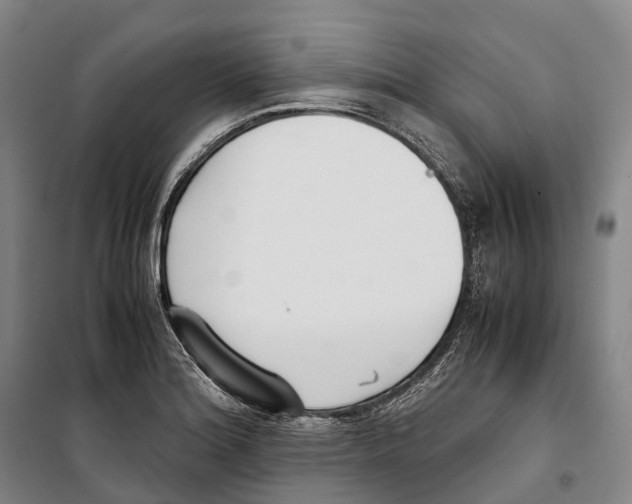 X0000099401180200806051201