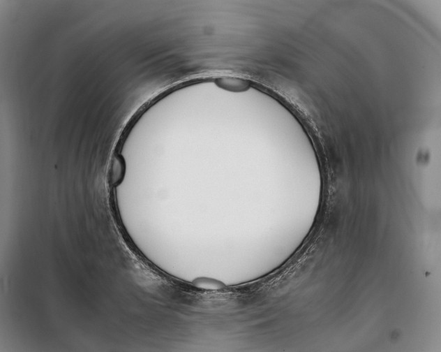 X0000099401181200806051201