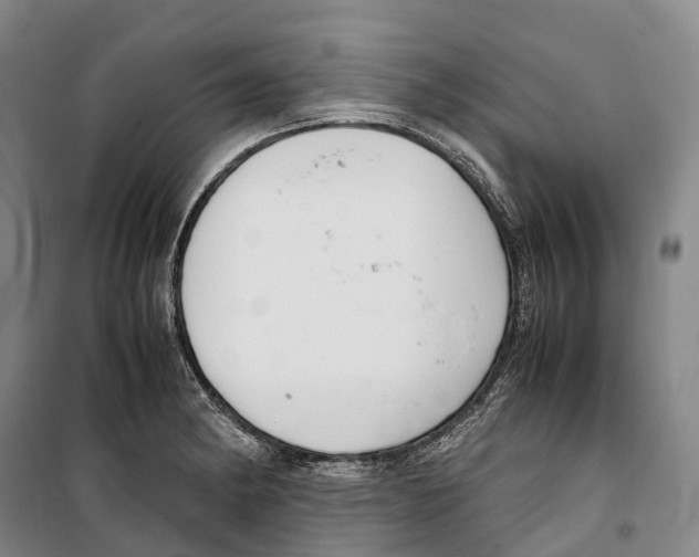 X0000099401182200806051201