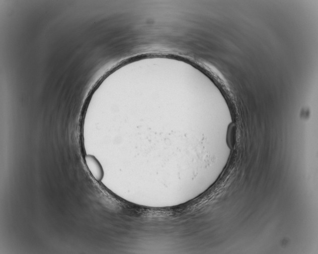 X0000099401183200806051201