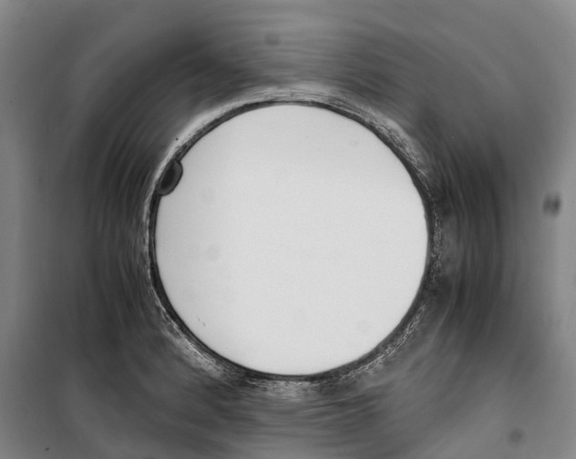 X0000099401184200806051201