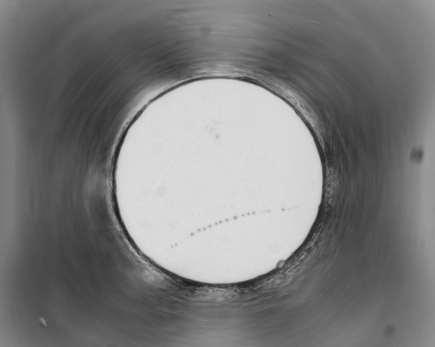 X0000099401187200806051200