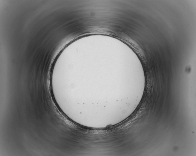 X0000099401188200806051200