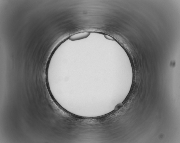 X0000099401189200806051200