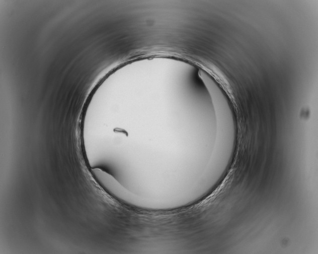 X0000099401190200806051200