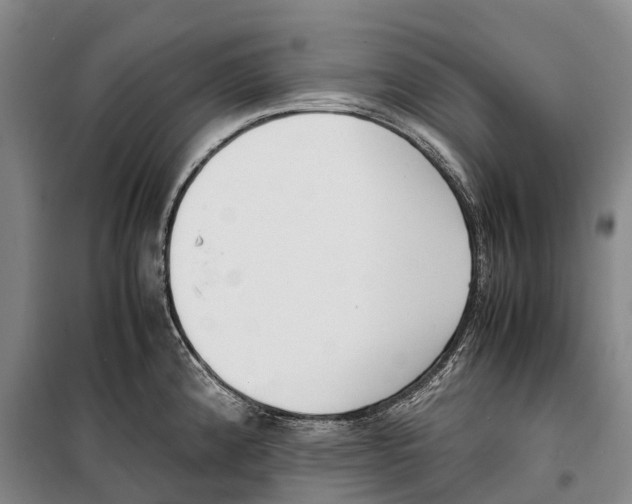 X0000099401192200806051200
