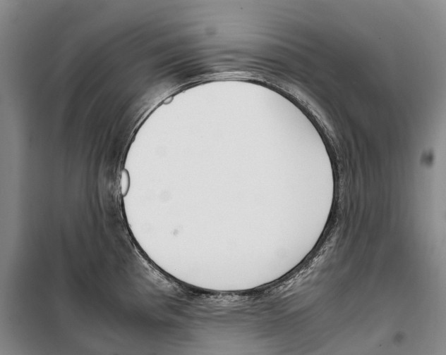 X0000099401193200806051200