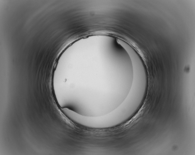 X0000099401194200806051200