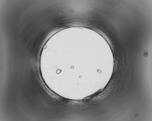 X0000099401195200806051200