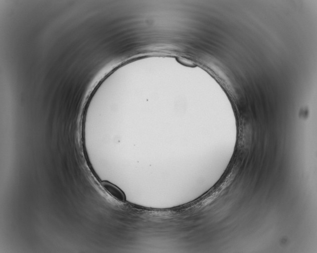X0000099401196200806051200