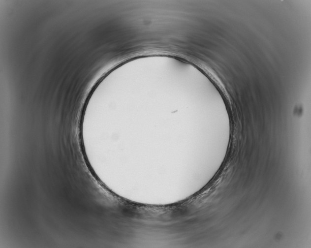 X0000099401197200806051200