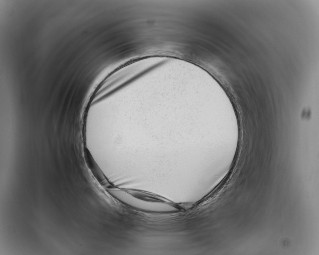 X0000099401200200806051200