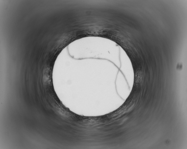 X0000099401202200806051200