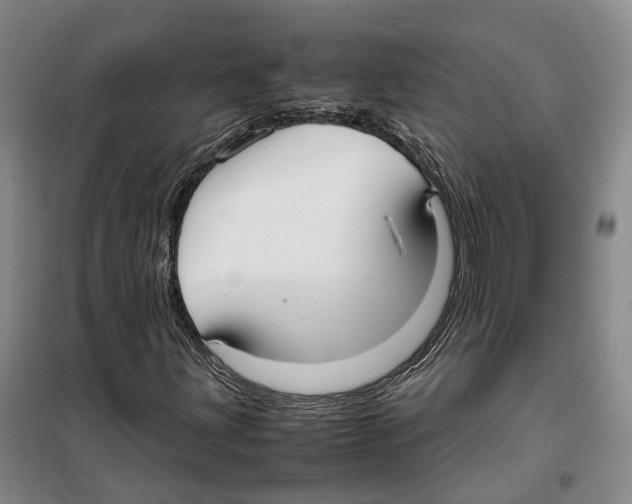 X0000099401203200806051200